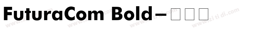 FuturaCom Bold字体转换